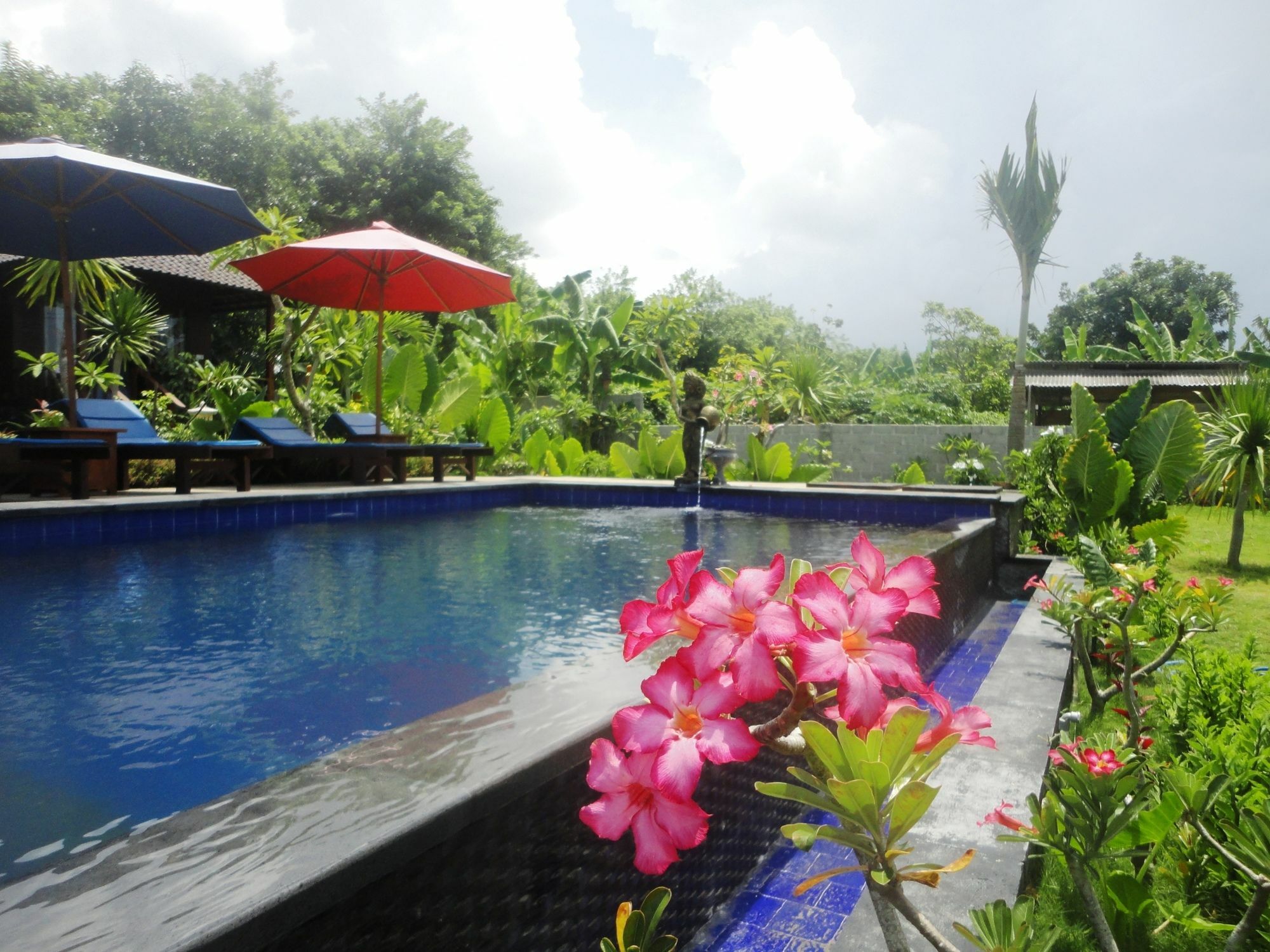 Dream Beach Berlian Nusa Lembongan  Luaran gambar