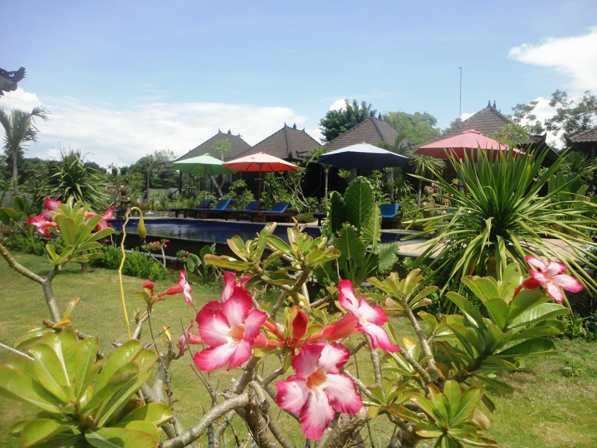 Dream Beach Berlian Nusa Lembongan  Luaran gambar